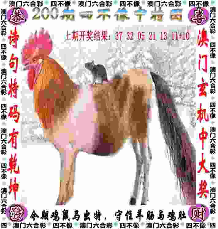 中国队第二金！陈艺文、昌雅妮夺冠